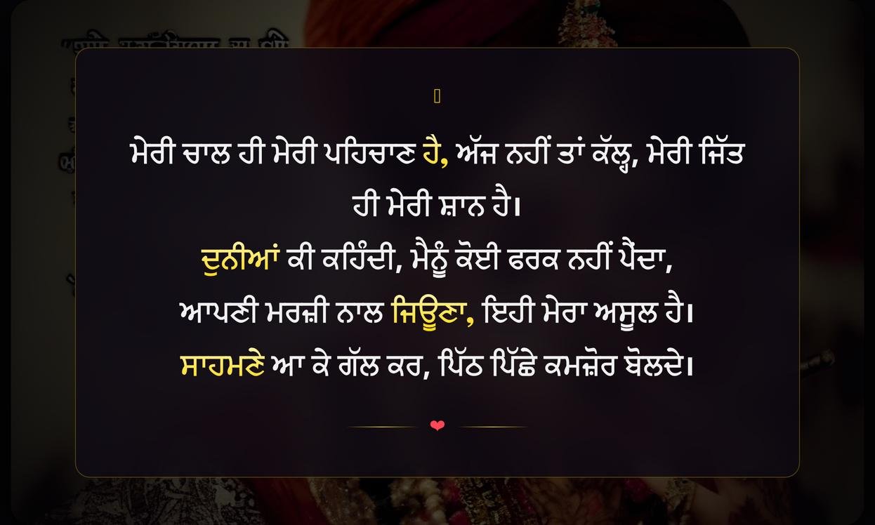 Killer Attitude Quotes In Punjabi