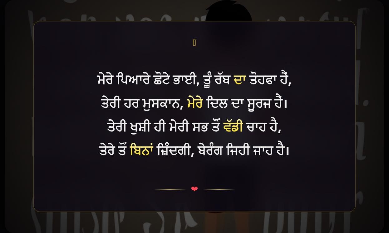 Little Brother Quotes In Punjabi