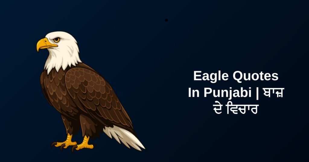 450+ Best Eagle Quotes In Punjabi | ਬਾਜ਼ ਦੇ ਵਿਚਾਰ